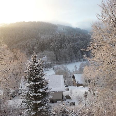 Haus Vor Den Eichen Fuer Familien Villa Willingen  Exterior foto